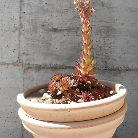 Okrug Gornji 13859a Lejlighed *